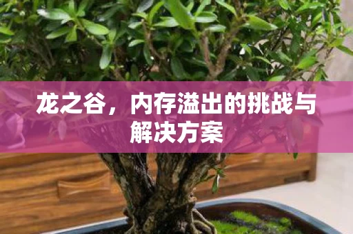 内存溢出的挑战与解决方案图片