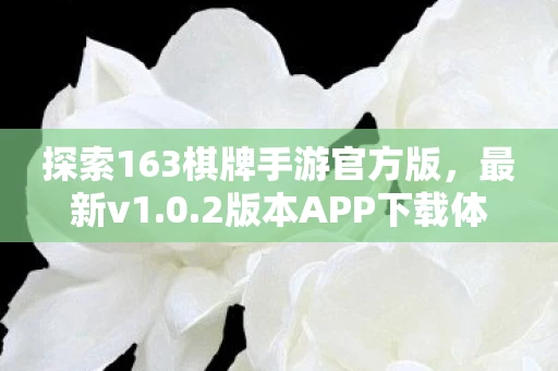 探索163棋牌手游官方版图片