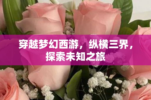 穿越梦幻西游图片
