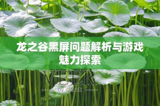 龙之谷黑屏问题解析与游戏魅力探索图片