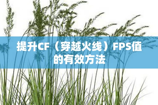 FPS值的有效方法图片
