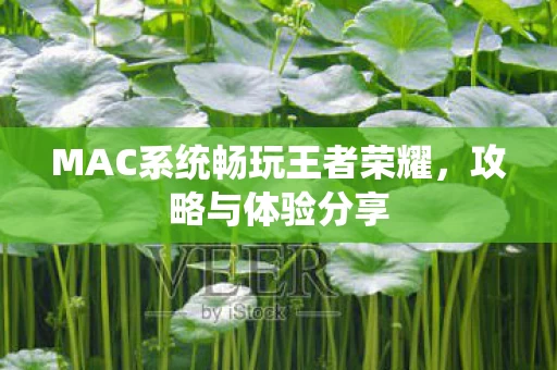 MAC系统畅玩王者荣耀图片