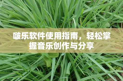 轻松掌握音乐创作与分享图片
