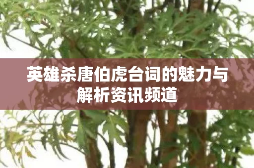 英雄杀唐伯虎台词的魅力与解析资讯频道图片