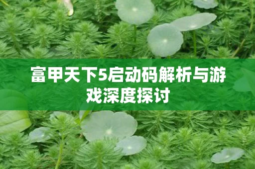富甲天下5启动码解析与游戏深度探讨图片