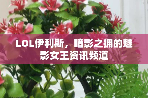 暗影之拥的魅影女王资讯频道图片