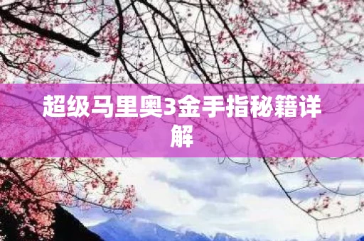 超级马里奥3金手指秘籍详解图片