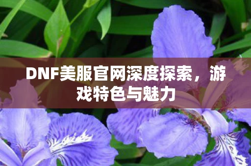 DNF美服官网深度探索图片