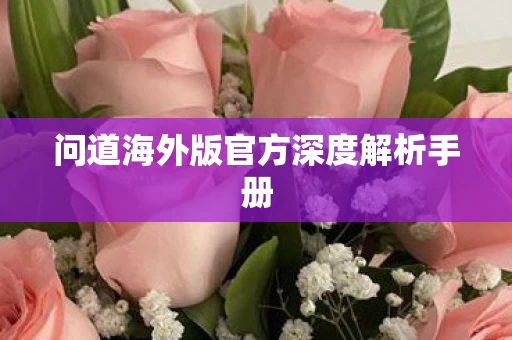 问道海外版官方深度解析手册图片