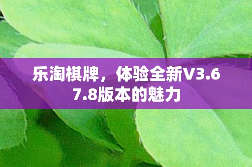 体验全新V3图片