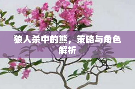 策略与角色解析图片