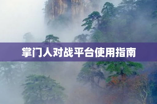 掌门人对战平台使用指南图片