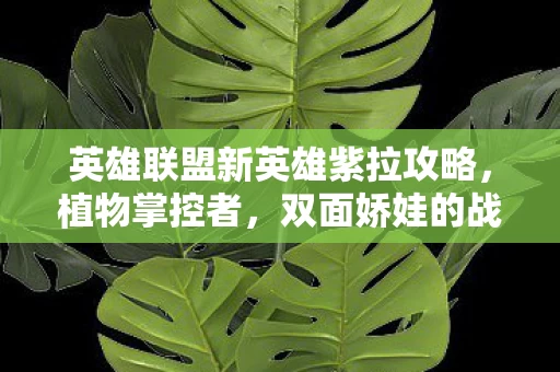 英雄联盟新英雄紫拉攻略图片