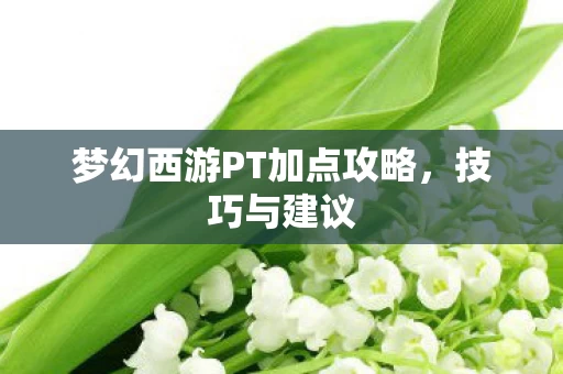 梦幻西游PT加点攻略图片