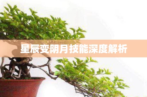星辰变阴月技能深度解析图片