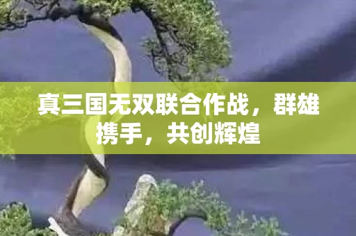 真三国无双联合作战图片