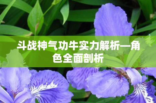 斗战神气功牛实力解析图片