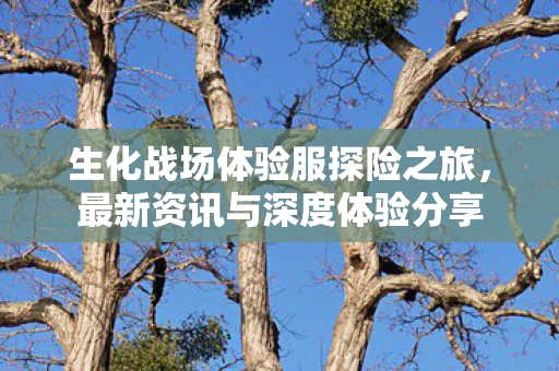 生化战场体验服探险之旅图片
