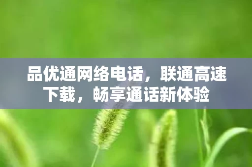 品优通网络电话图片