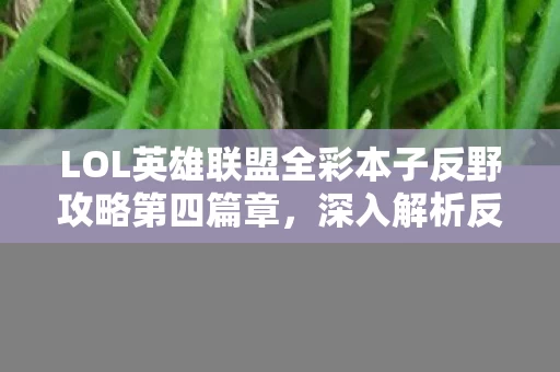 LOL英雄联盟全彩本子反野攻略第四篇章图片