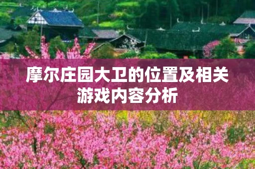 摩尔庄园大卫的位置及相关游戏内容分析图片