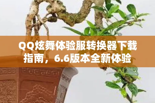 QQ炫舞体验服转换器下载指南图片