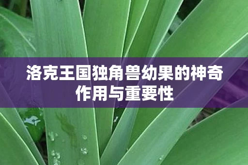 洛克王国独角兽幼果的神奇作用与重要性图片