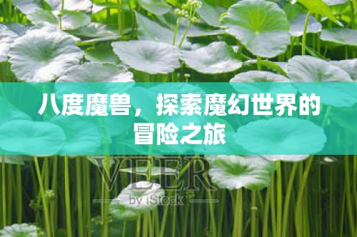 探索魔幻世界的冒险之旅图片