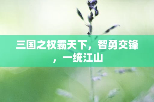 三国之权霸天下图片