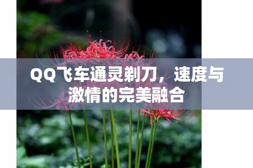 速度与激情的完美融合图片