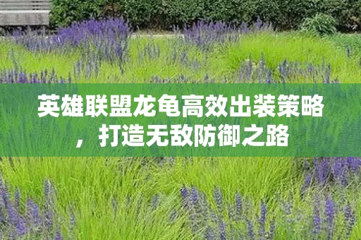 英雄联盟龙龟高效出装策略图片