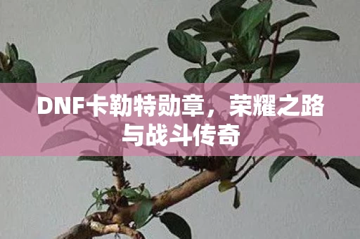 荣耀之路与战斗传奇图片