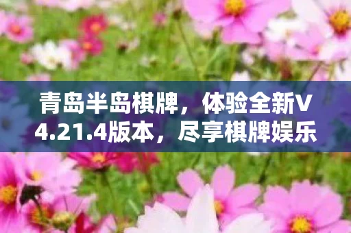 尽享棋牌娱乐的魅力图片