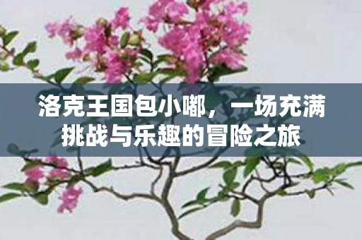 一场充满挑战与乐趣的冒险之旅图片