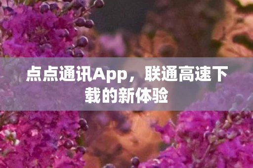 联通高速下载的新体验图片
