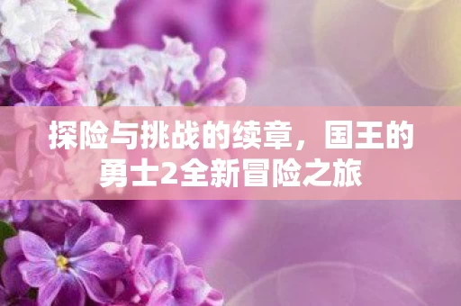 国王的勇士2全新冒险之旅图片