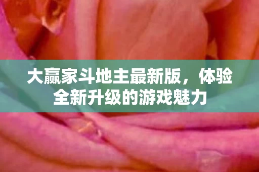 体验全新升级的游戏魅力图片