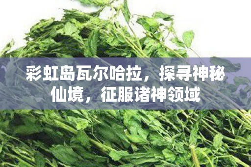 彩虹岛瓦尔哈拉图片