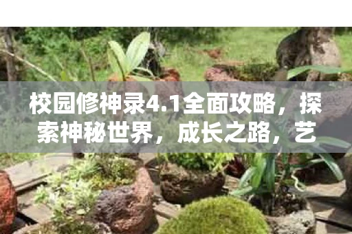 艺术化的交流之旅图片