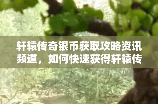 轩辕传奇银币获取攻略资讯频道图片