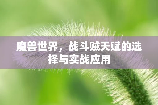 战斗贼天赋的选择与实战应用图片
