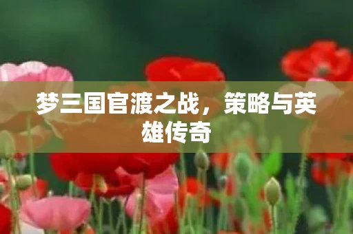 梦三国官渡之战图片