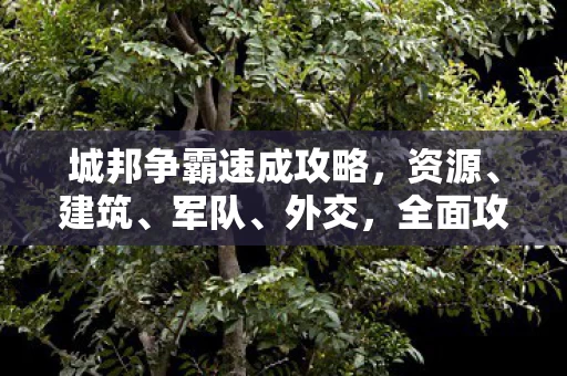 城邦争霸速成攻略图片