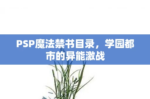 PSP魔法禁书目录图片