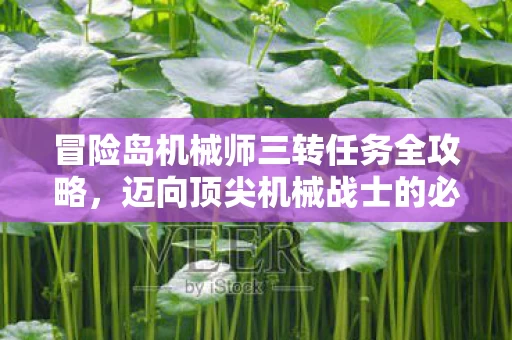 冒险岛机械师三转任务全攻略图片