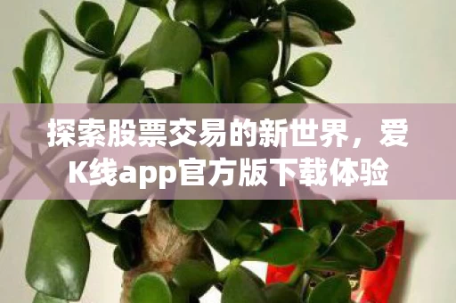 爱K线app官方版下载体验图片
