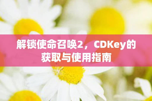 CDKey的获取与使用指南图片