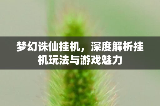 深度解析挂机玩法与游戏魅力图片