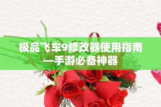 极品飞车9修改器使用指南图片