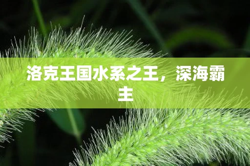 洛克王国水系之王图片